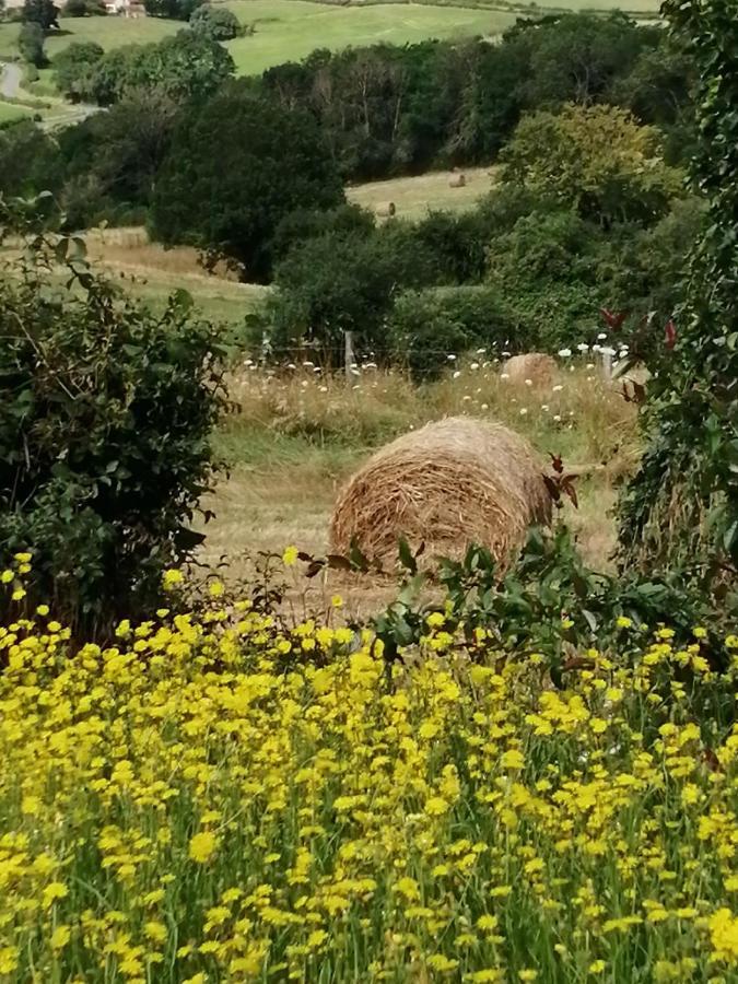 Chambre Campagne Uxelloise Uxeau Dış mekan fotoğraf